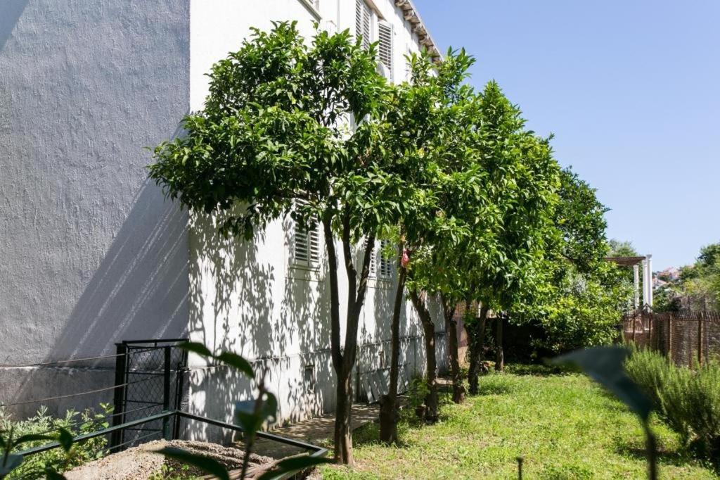 Apartment Blue & Green Dubrovnik Exterior photo